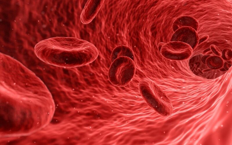 Senność, zmęczenie i bladość skóry? Zrób badanie krwi to może być anemia!